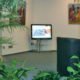 Büro Ansicht Pflanzen Display