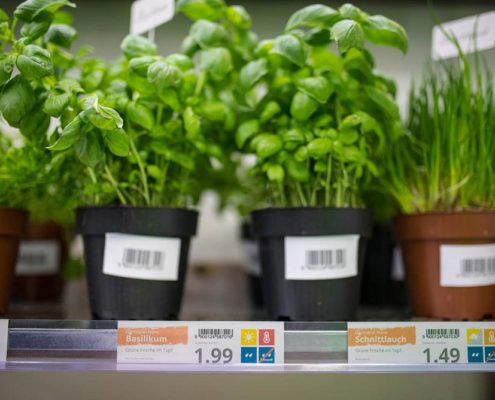 DIY Etiketten am Kräuterregal zeigen Preisauszeichnung mit Plakatdruckprogramm PRESTIGEenterprise