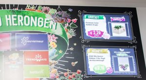 Digital Signage Bildschirme in einer großen Wand bei Landgard integriert zeigen aktuelle Angebote