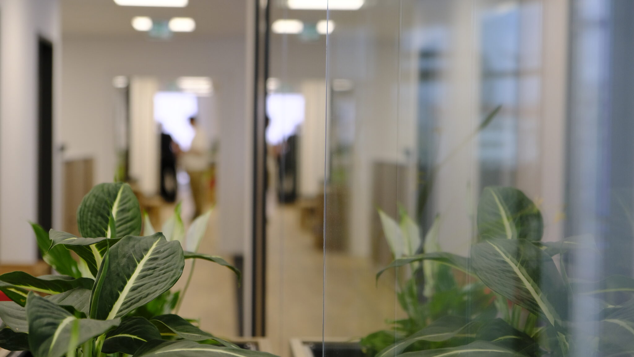 Online Software AG Büro